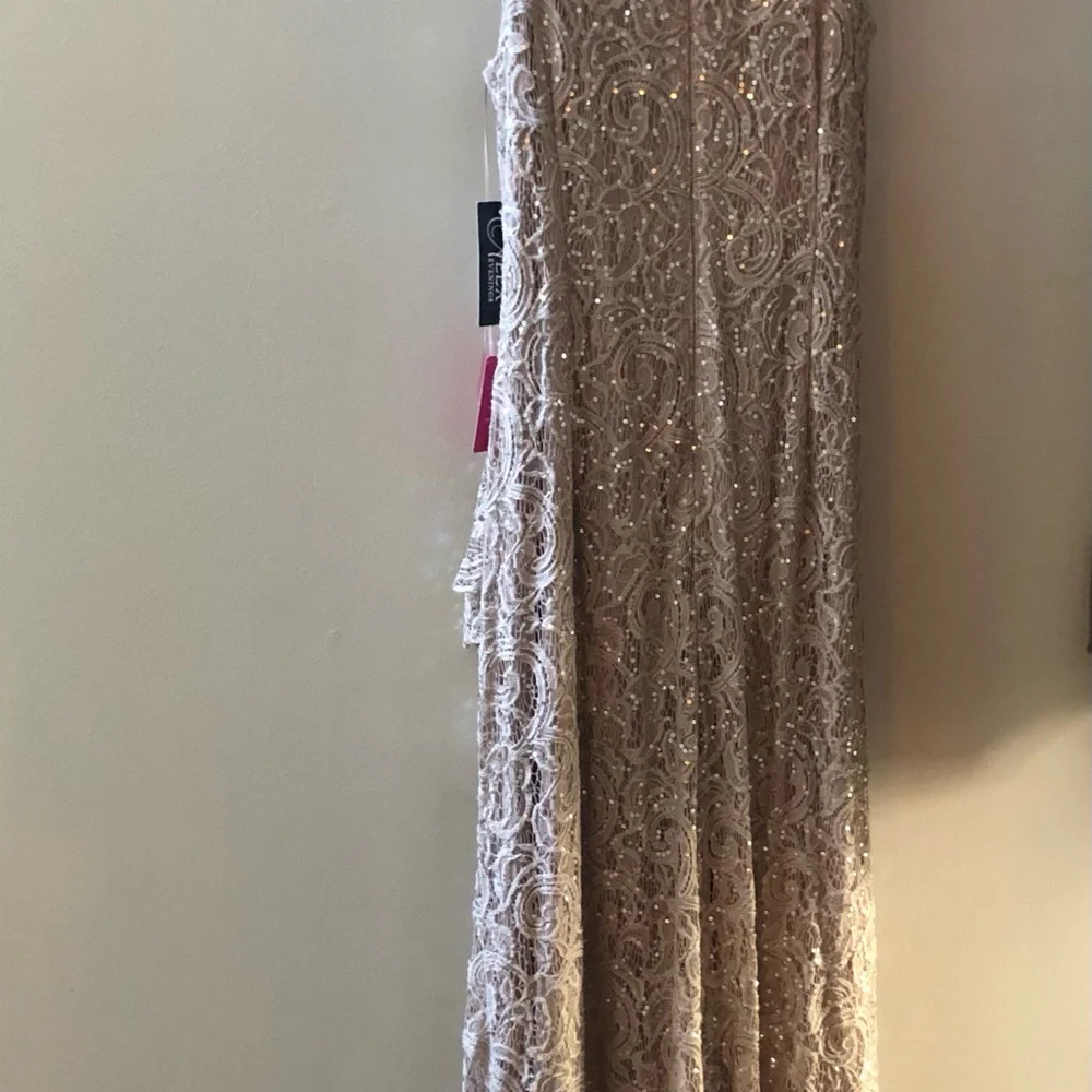 Elegant Lace Evening Dress MOB /MOG Size 10 NWT - Picture 2 of 9